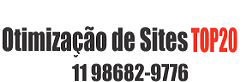 11-98682-9776-OTIMIZAÇÃO DE SITE TOP20